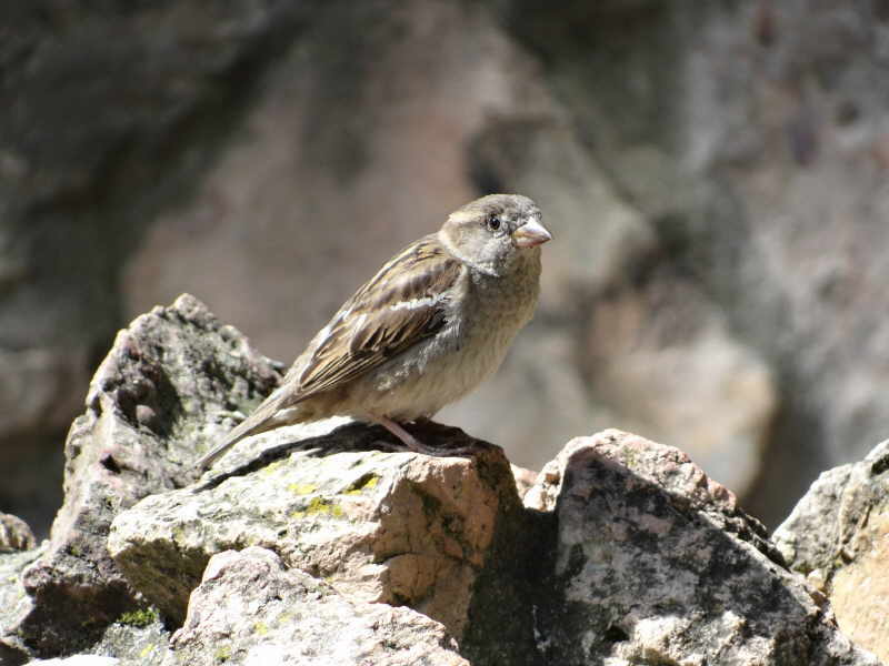 aufgenommen in Riga 2014