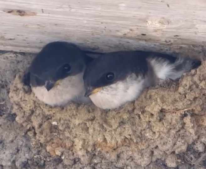 aufgenommen in Lettland