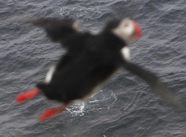 aufgenommen Juli 2015 in Island