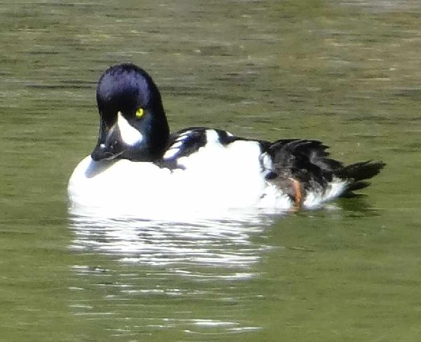 aufgenommen in Norwegen 2005