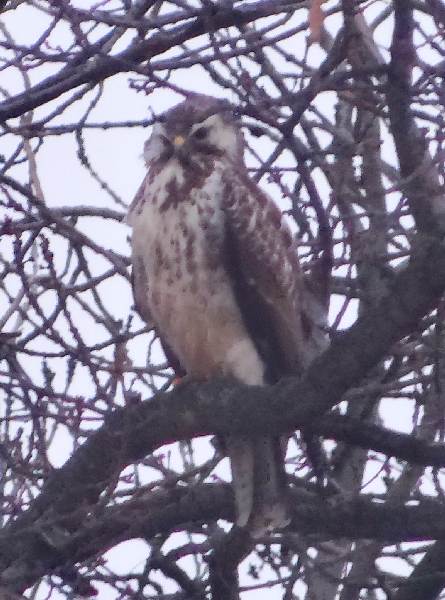 aufgenommen im Garten