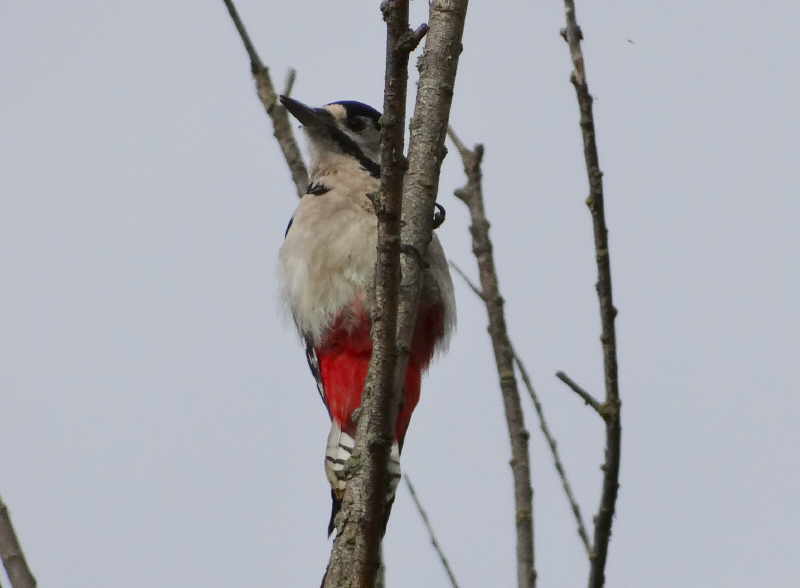 aufgenommen vor der Stiftskirche