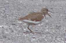 aufgenommen in Norwegen 2005