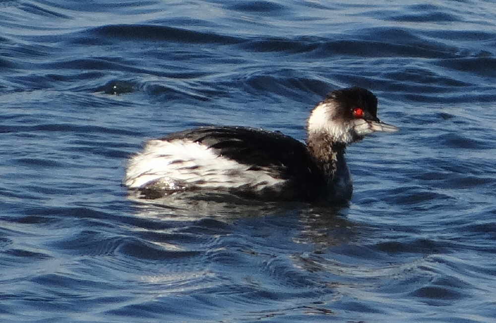 aufgenommen 2017 in Venedig