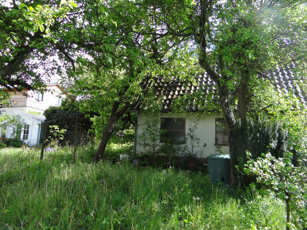 Blick in den Garten